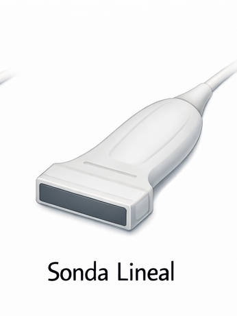sonda lineal para ecografía clínica