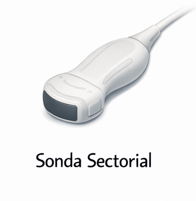 sonda sectorial para ecografía clínica